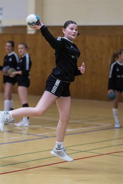 Bild 222 - wBJ TSV Ellerau - HSG Stoertal Hummeln : Ergebnis: 26:19